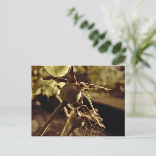 Nadat de Liefde weg is... Briefkaart (Staand voorkant)