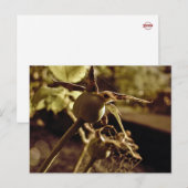 Nadat de Liefde weg is... Briefkaart (Voorkant / Achterkant)