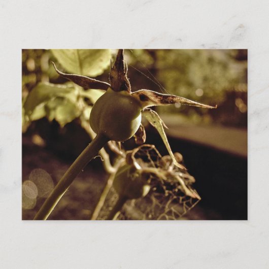 Nadat de Liefde weg is... Briefkaart (Voorkant)