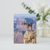 Nadenkend het Kloof Briefkaart (Staand voorkant)