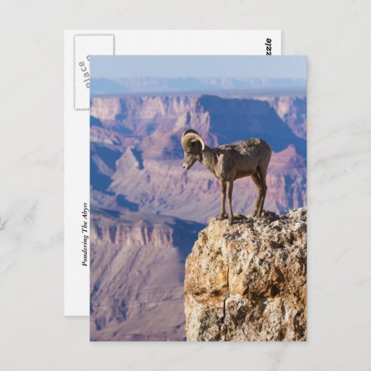 Nadenkend het Kloof Briefkaart (Voorkant / Achterkant)