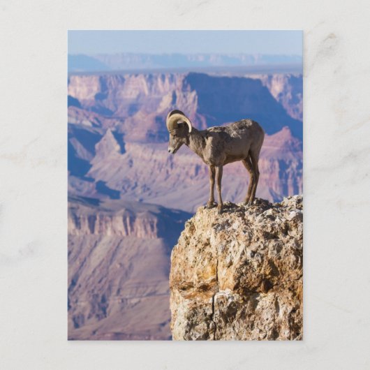 Nadenkend het Kloof Briefkaart (Voorkant)