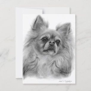 Nadenkende blik - met de hand geschilderde honden briefkaart