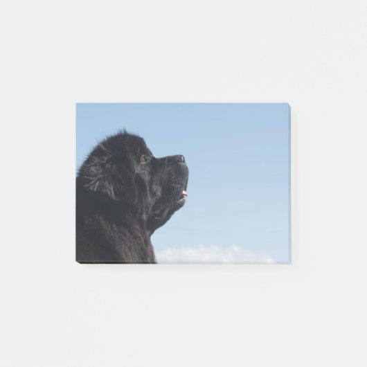 Nadenkende Inka Post-it Notitie Post-it® Notes (Voorkant)