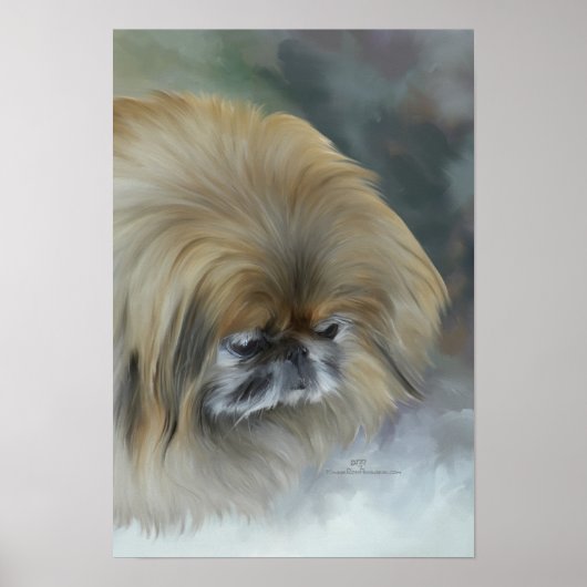 Nadenkende Pekingees Poster (Voorkant)