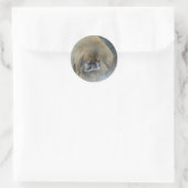 Nadenkende Pekingees Ronde Sticker (Tas)