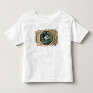 Nadere gegevens over de versiering van het plafond kinder shirts