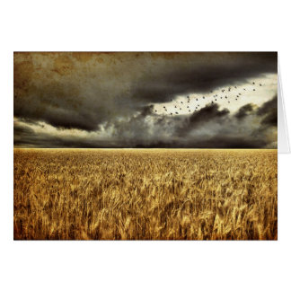 Naderende Storm-kaart