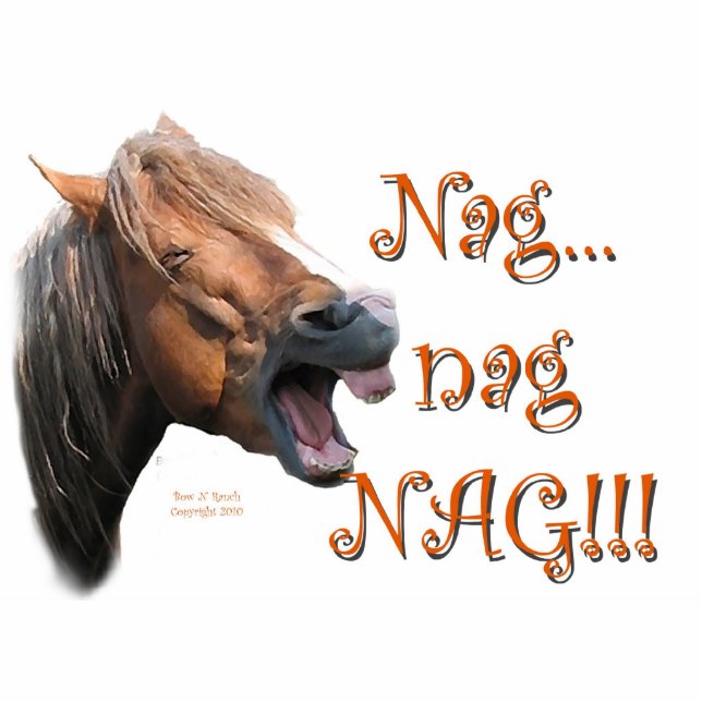 Nag 1 Funny Horse Fotobeeldje Magneet (Voorkant)