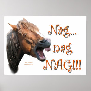 Nag 1 poster