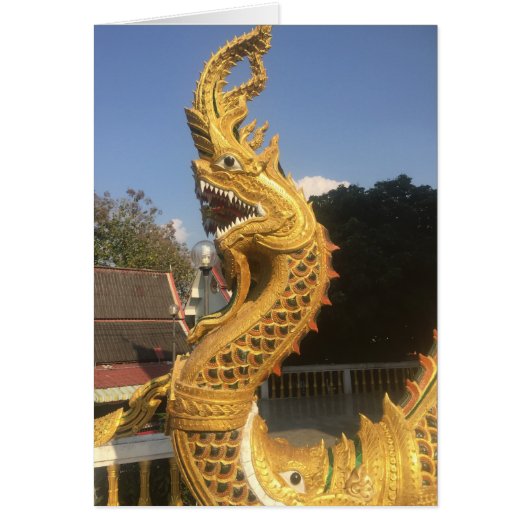 Naga in Chiang Mai, Thailand (Voorkant)