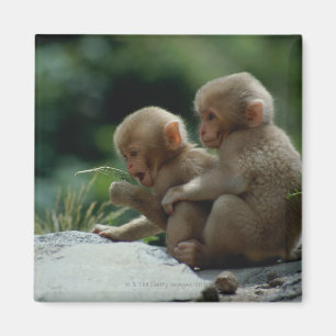 Nagano Prefecture, Japan Magneet