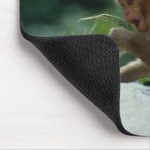 Nagano Prefecture, Japan Muismat (Hoek)