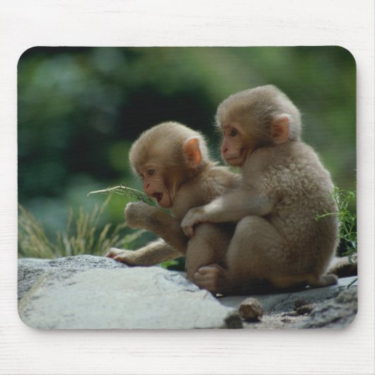 Nagano Prefecture, Japan Muismat (Voorkant)