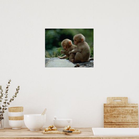 Nagano Prefecture, Japan Poster (Keuken)