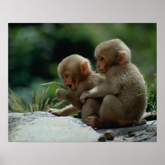 Nagano Prefecture, Japan Poster (Voorkant)