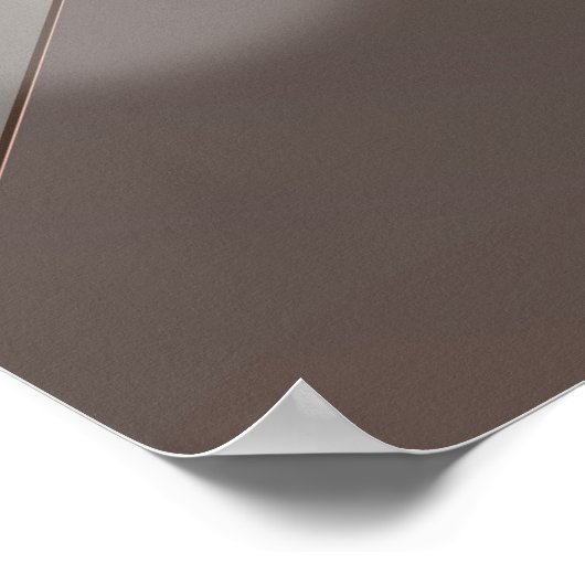 Nagasaki Japans bloesem poster. Poster (Hoek)