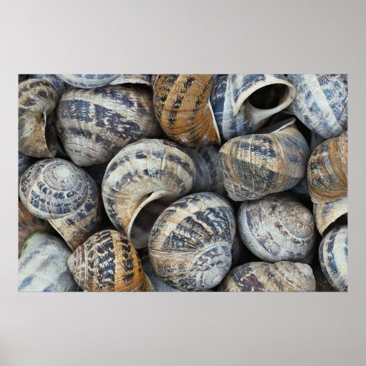 nagelschalen poster (Voorkant)