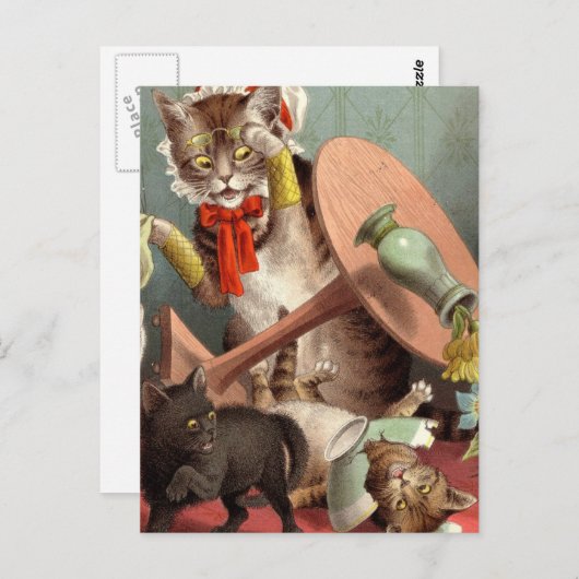 Naghty Cats briefkaart (Voorkant / Achterkant)