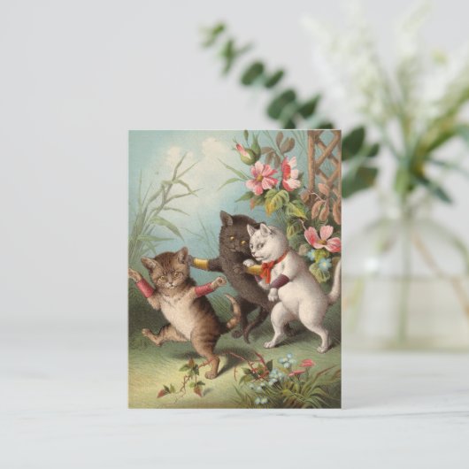 Naghty Cats briefkaart (Staand voorkant)