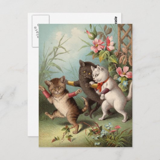 Naghty Cats briefkaart (Voorkant / Achterkant)