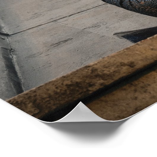 Nagini & Credence foto Poster (Hoek)