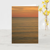 Nags Hoofd na zonsondergang 5 x 7 Wenskaart Kaart (Gele Bloem)