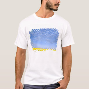 Nah, VS, ID, Grangeville, veld met koolzaadgewas T-shirt