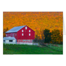 Naherfheuvel achter Red Barn