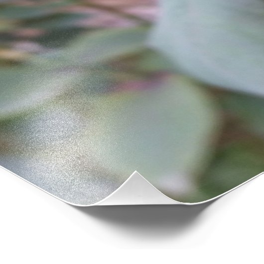 Naherfsrode roos foto afdruk (Hoek)