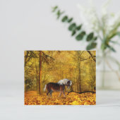 Naherfst conceptpaard briefkaart (Staand voorkant)