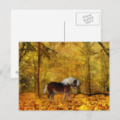 Naherfst conceptpaard briefkaart (Voorkant / Achterkant)
