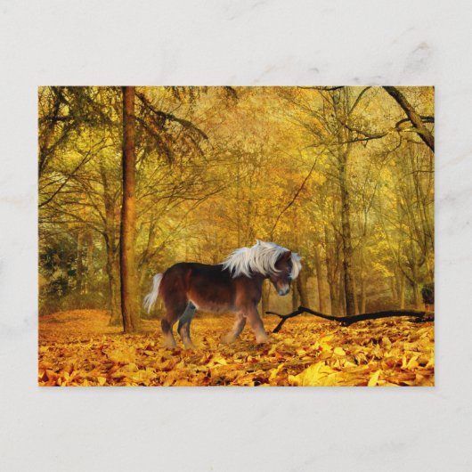 Naherfst conceptpaard briefkaart (Voorkant)