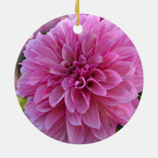 Naherfst Dahlia kerstornament Keramisch Ornament (Achterkant)