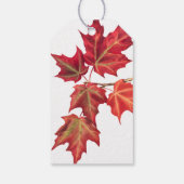 Naherfst lekt een bruiloft of een schoeisel met ee cadeaulabel (Achterkant)