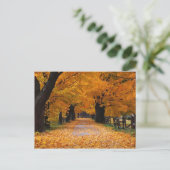 Naherfst omlaag lopen van de geheugenlijn briefkaart (Staand voorkant)