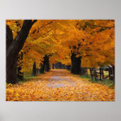 Naherfst omlaag lopen van de geheugenlijn poster (Voorkant)