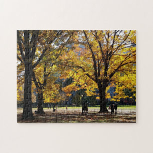 Naherfstmiddag in Central Park Legpuzzel