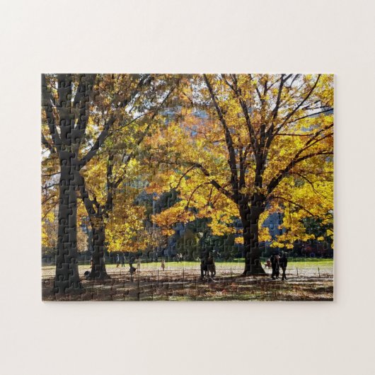 Naherfstmiddag in Central Park Legpuzzel (Horizontaal)