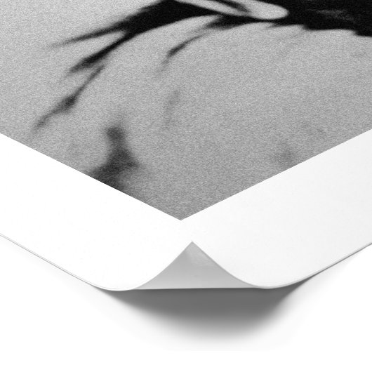 Naiche (d.1874) Chief of the Chiricahua Apaches of Poster (Hoek)