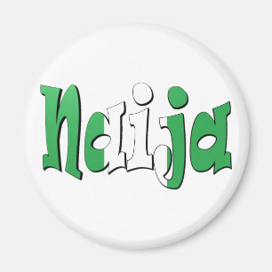 Naija (Nigeriaanse vlag) Magneet