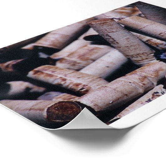 Nails in de Coffin Poster (Hoek)