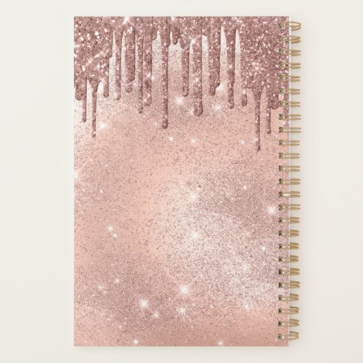 Nails Moderne Roos Gold Glitter-schijven Benoeming Planner (Achterkant)