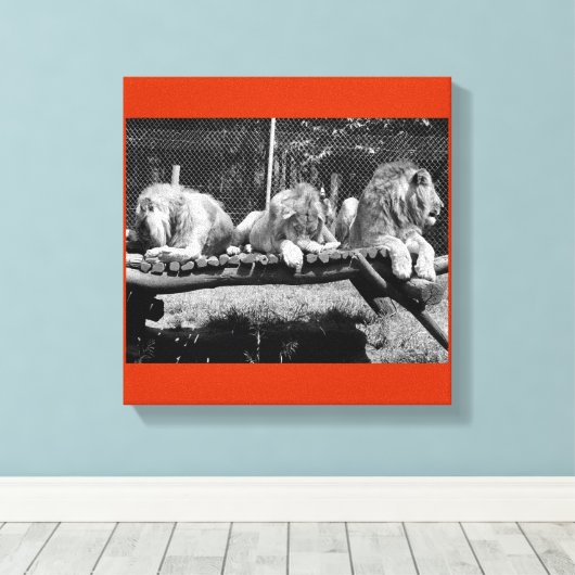 Nairobi Lions - B&W Canvas Afdruk (Insitu (Houten vloer))