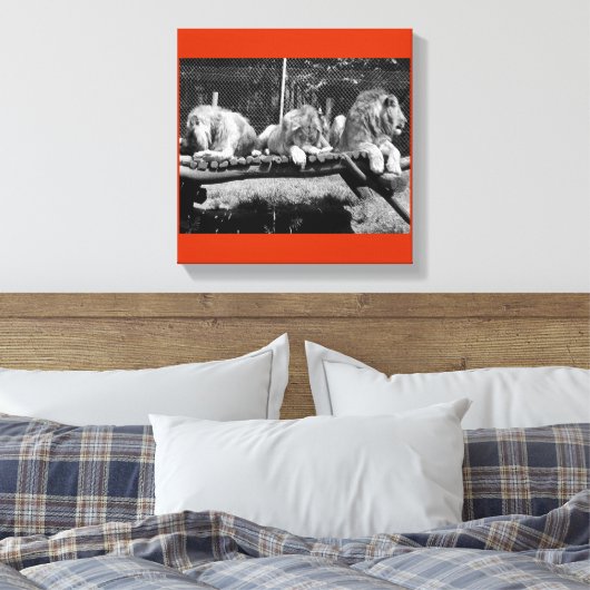 Nairobi Lions - B&W Canvas Afdruk (Insitu (Slaapkamer))
