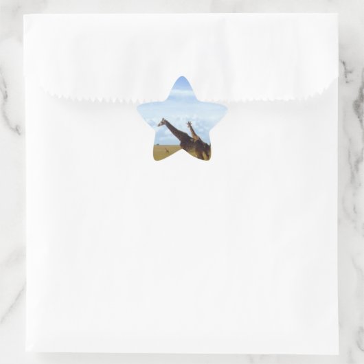 Nairobi National Park Giraffes Ster Sticker (Tas)