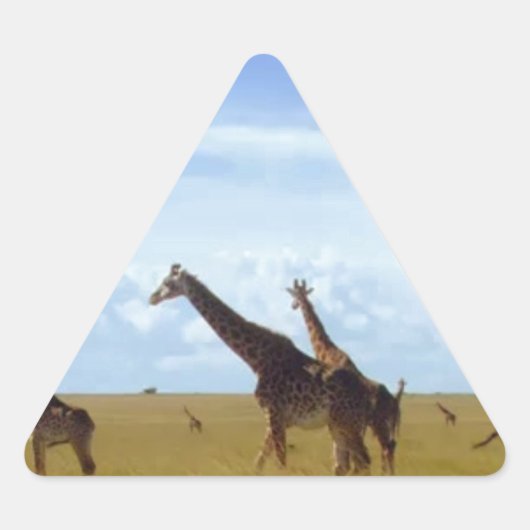 Nairobi National Park Giraffes Sticker (Voorkant)