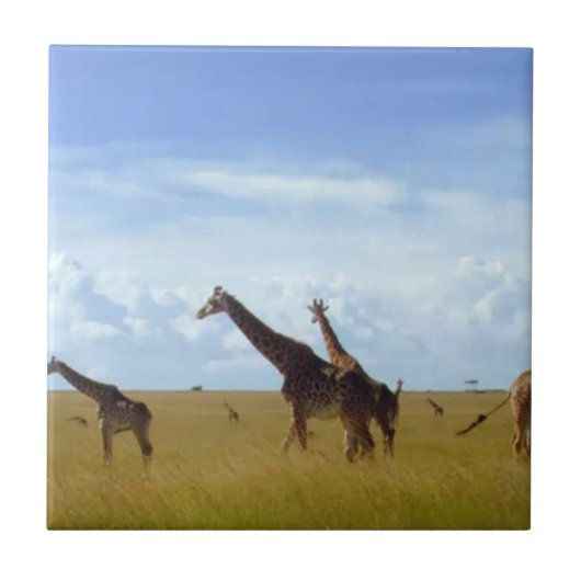 Nairobi National Park Giraffes Tegeltje (Voorkant)