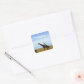 Nairobi National Park Giraffes Vierkante Sticker (Envelop)