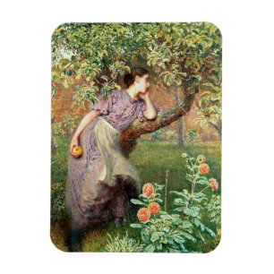 Najaar, 1865 magneet
